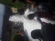 2013-07-05 10.53.03 (640x480) (640x480)
