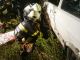 IMG-20150919-WA0024 (800x450)