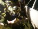 IMG-20150919-WA0025 (800x450)