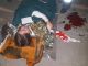 IMG-20160311-WA0013 (800x450)