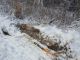 IMG-20161219-WA0010