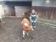 IMG-20230515-WA0042