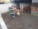 IMG-20230515-WA0046