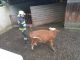 IMG-20230515-WA0047