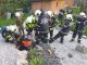 WhatsApp Bild 2023-05-08 um 07.52.15