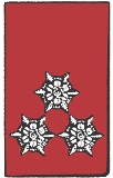 HFM